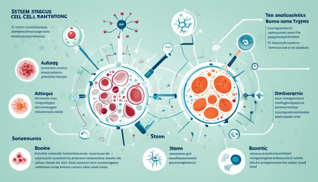 Stem cell transplantation types